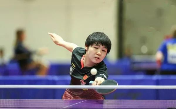 森林狼已不 森林狼已不