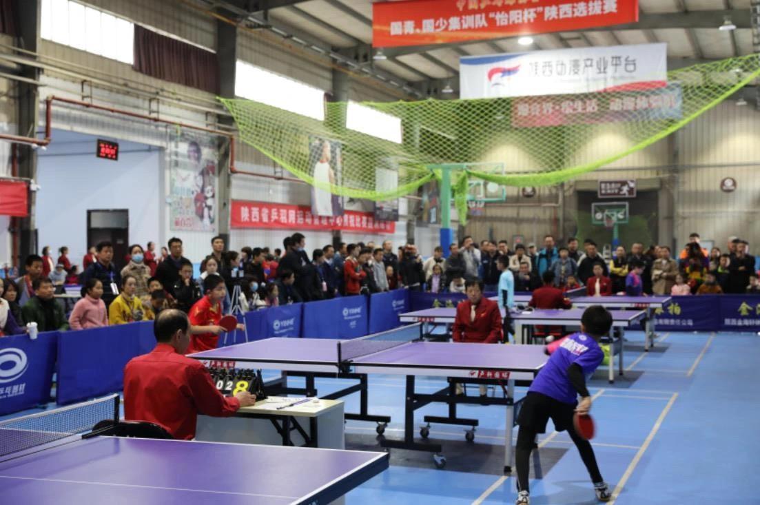 西甲的技术 西甲的技术